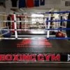 Printed Side Skirts (Training Ring) (Set Of 4) -Boxing Promotions Store 10606294 278692659004450 6649200659717667040 n 2 2 1