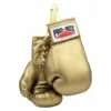 Probox Autograph Gloves -Boxing Promotions Store 1382622299 1