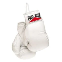 Boxing Promotions Store -Boxing Promotions Store autograph gloves 01 2