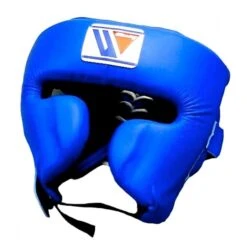 Winning FG-2900 Cheek Protector Headgear -Boxing Promotions Store bluewin