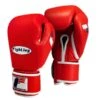Fighting Sports Fury Professional Training Gloves - Velcro -Boxing Promotions Store fsftge rd 1