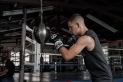 TITLE Platinum Double End Bag -Boxing Promotions Store pdeb