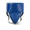 Phenom Boxing Elite GP-250 Professional Groinguard -Boxing Promotions Store phenom elite gp 250 groinguard blue 1
