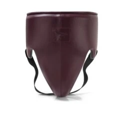 Phenom Boxing Elite GP-250 Professional Groinguard -Boxing Promotions Store phenom elite gp 250 groinguard sangria 1
