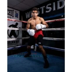 Pro Mex Avanzado Pro No-Foul Protector -Boxing Promotions Store pmpnf rd 4