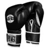Pro Mex Pro Boxing Gloves V3.0 - Hook & Loop -Boxing Promotions Store pmtge3 bk 1 4