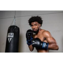 TITLE Platinum Perilous Lace Sparring Gloves -Boxing Promotions Store ppssgl 1