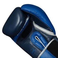 TITLE Boxing Royalty Leather Training Gloves -Boxing Promotions Store rytg 3 1