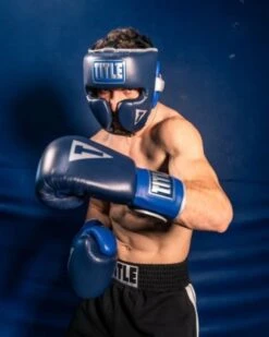 TITLE Boxing Royalty Leather Training Gloves -Boxing Promotions Store rytg 4