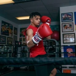 TITLE Boxing Sugar Ray Leonard Signature Leather Sparring Gloves -Boxing Promotions Store tb165 11