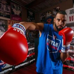 TITLE Boxing Sugar Ray Leonard Signature Leather Sparring Gloves -Boxing Promotions Store tb165 12