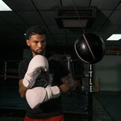 TITLE Boxing Cannon Ball Hanging Bag -Boxing Promotions Store tb3164d