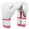 TITLE GEL Special Edition Bag Gloves 1 TITLE GEL Special Edition Bag Gloves -Boxing Promotions Store title gel special edition bag gloves 1
