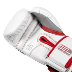 TITLE GEL Special Edition Bag Gloves -Boxing Promotions Store title gel special edition bag gloves 3