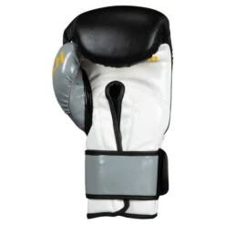TITLE Icon I-Tech Velcro Training Gloves -Boxing Promotions Store title icon i tech velcro training gloves 2
