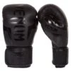 Venum Elite Boxing Gloves -Boxing Promotions Store venum elite black 1