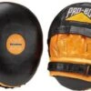 Probox Xtreme Air Focus Boxing Pads